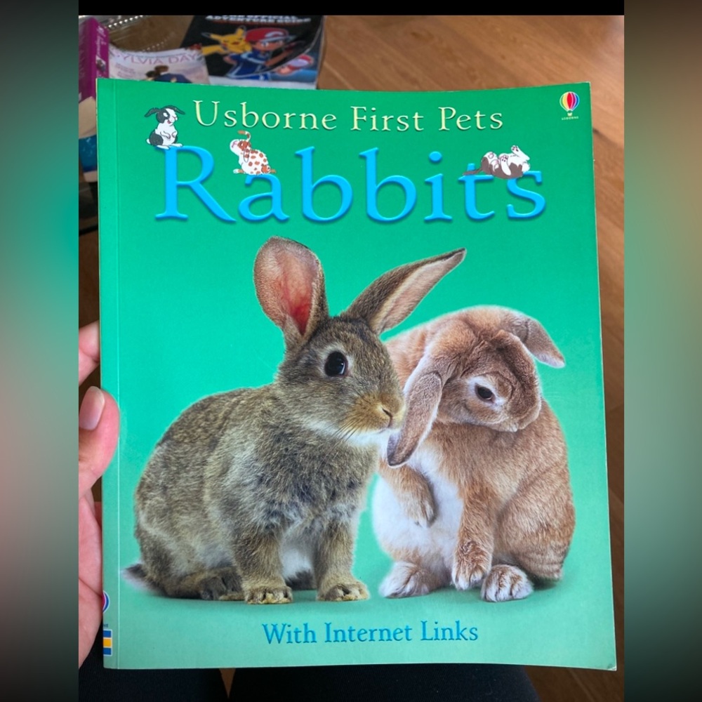 Rabbits Children’s Book